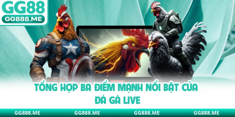 Tổng hợp ba điểm mạnh nổi bật của đá gà live